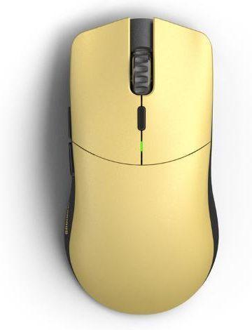 Image of Glorious Golden Panda