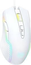 Image of Onikuma CW905