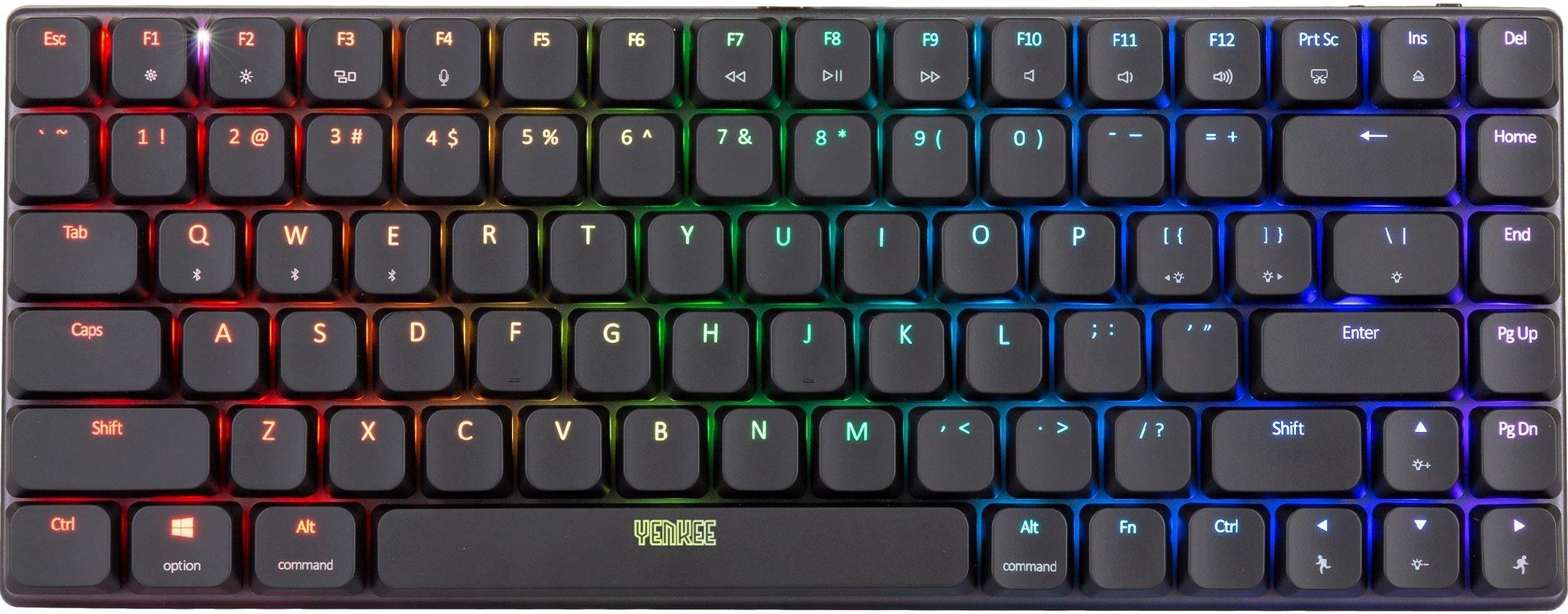 Image of Yenkee Rogue