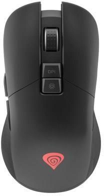 Image of Genesis Zircon 330